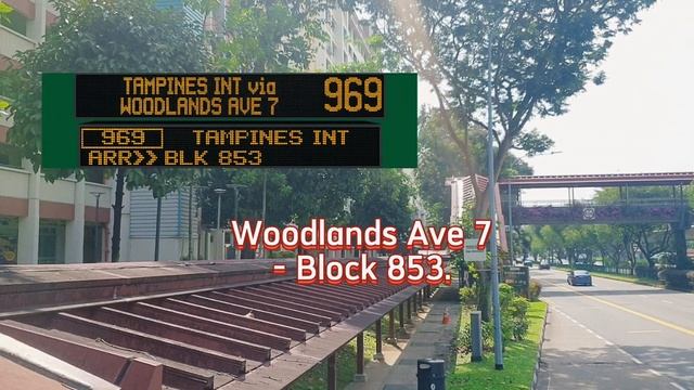 SG6368M Service 969. Alexander Dennis Enviro500. Euro 6 (3-Door) Double Deck Bus. SG❤BUS. 29/04/23 смотреть онлайн