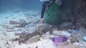 Загрязнение мирового океана пластиком
