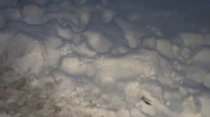 #40. БЕЛОРУССКИЕ БУДНИ НА ХУТОРЕ, УЕХАЛИ ПОДАЛЬШЕ ОТ ГОРОДСКОЙ СУЕТЫ.