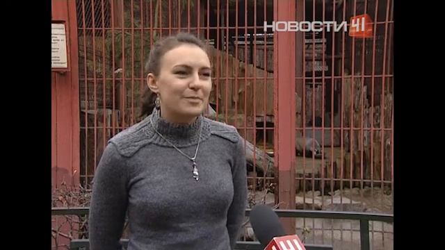 Аномальная жара на Урале, даже листочки на деревьях распустились смотреть онлайн