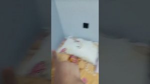 Как сделать домик из подушек и одеяло!?