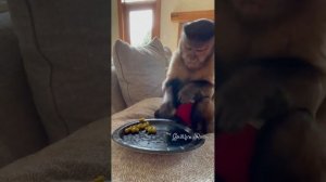Pea-by-Pea: Gaitlyn Rae's Adorable Snack Time