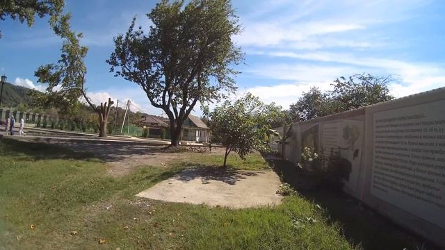 Сочи - Головинка., то самое ТЮЛЬПАНОВОЕ дерево, 250 лет, а как новое. смотреть онлайн