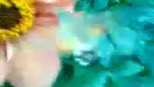Видео0004
