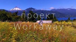 волонтерский проект WORKAWAY В ЧИЛИ. ТРАГИЧЕСКИЙ СЛУЧАЙ