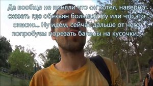 Влоги об Индии 304. Индийский зоопарк, парк с обезьянами в Индии где обезьян можно покормить с рук