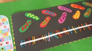 дорожка здоровья