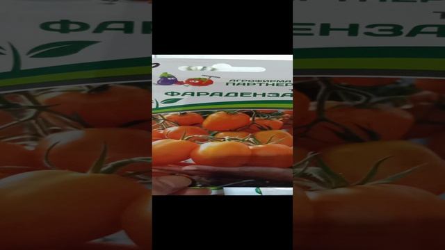 1000006957.mp4
