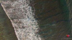 Медитация Джо Диспензы Индукционная техника "Прибывающая вода" 1-я неделя