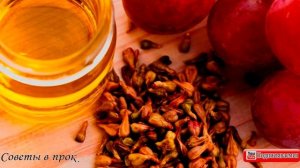 ➤ Косточки винограда влияют на раковые клетки ➤