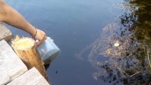 Рыбалка в Игарке   На севере в Красноярском крае. Ловим много гольянов в озере за 30 секунд!