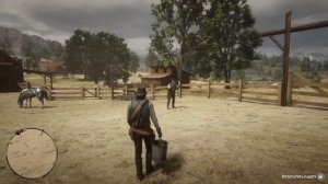 Red Dead Redemption 2 чистка лошади