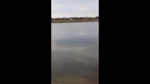 Обзор работы глубиномера и эхолота  Toslon tf500