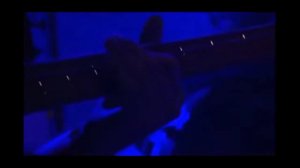 Him - Gone with the Sin live