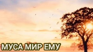 Пророк Муса мир ему спросил Аллаха