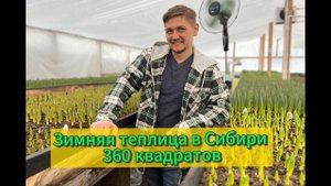 Зимняя теплица в Сибири, 360 квадратов