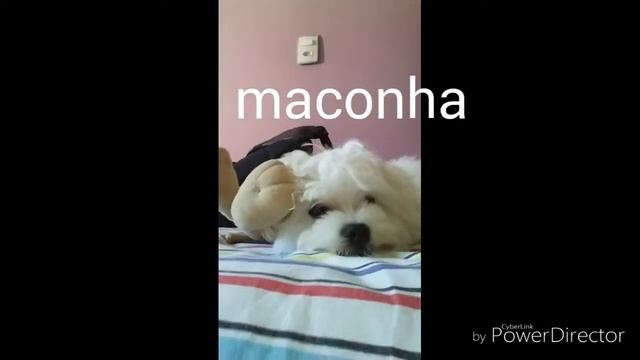 download minecraft pe 0.14.0 alpha build 5 apk смотреть онлайн