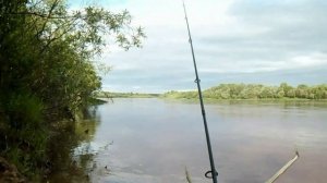 Болен Рыбалкой №12 - Как всё началось...