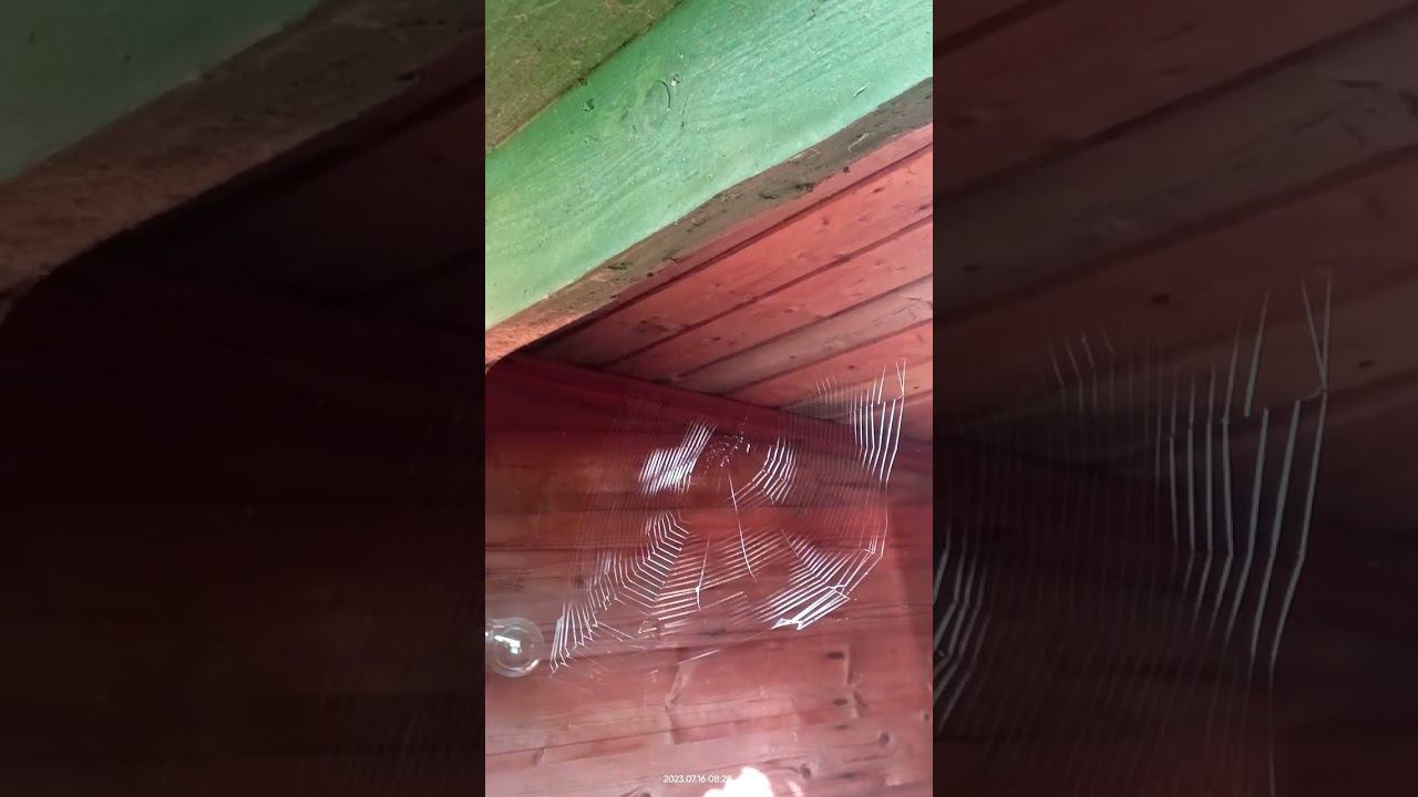 16 июля 2023 г. смотреть онлайн