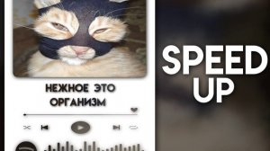 Нежное это -  молодой растущий организм | speed up