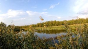 (18 ) ПРОДОЛЖЕНИЕ ОТКРЫТИЯ НА УТКУ (сезон - осень 2018).mp4