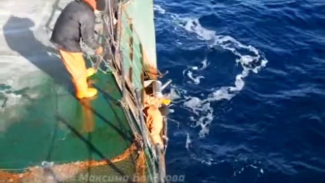 Морская. Дневник матроса: часть вторая
