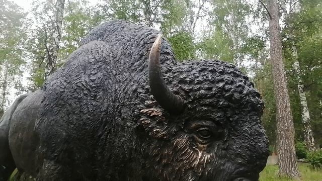 Шарташский лесопарк
