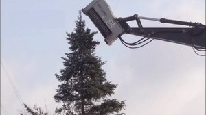 Самый быстрый Мульчер для Экскаватора! Современное оборудование для очистки территории от деревьев