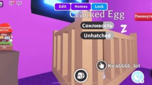 АДОПТ МИ С НУЛЯ?ДОБИЛАСЬ ЛИ Я РАЙД ПЕТА??