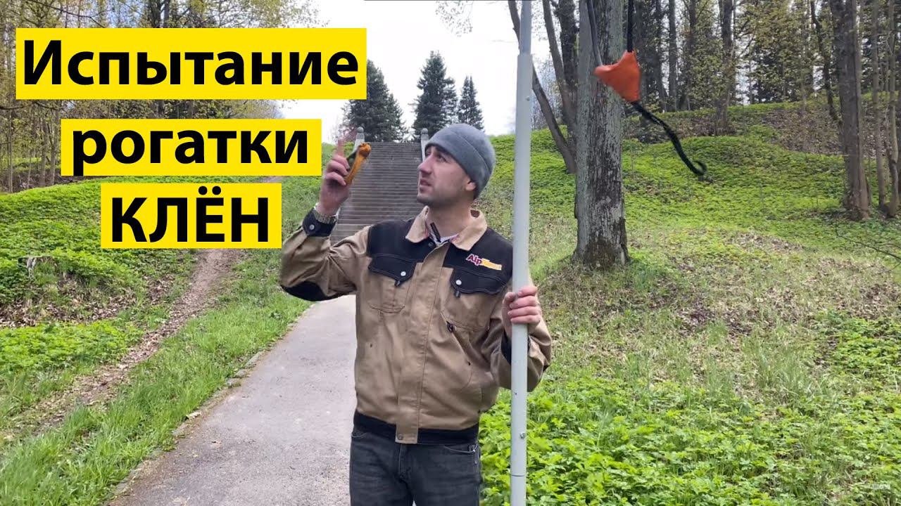Испытание рогатки для арбористики. (Клён)