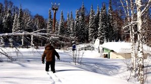 Волчиха. ВКО. Подстанция Снегирихинского рудника // Electrical substation in the wild forest