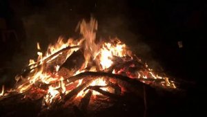 Костер в ночном лесу. )