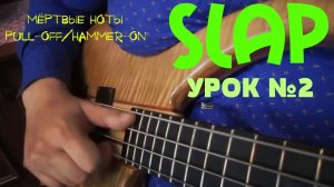 Уроки игры на бас гитаре. "Slap" Урок № 2 (Мёртвые ноты, "pull-off/hammer-on", "double pluck")