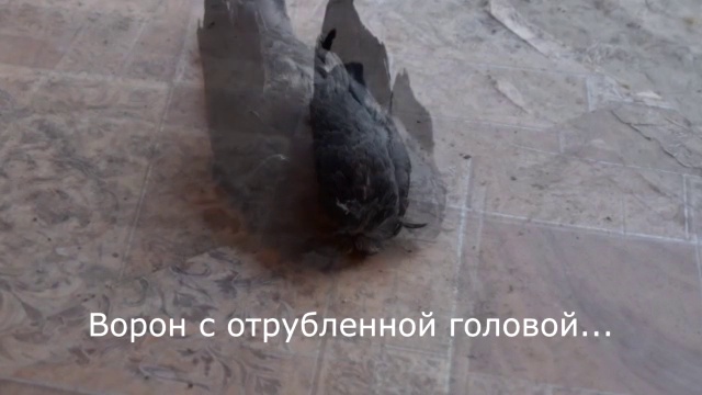 ведьма