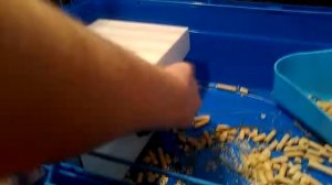 Мой кролик|как ухаживать за кроликами| что нужно для появления кролика дома