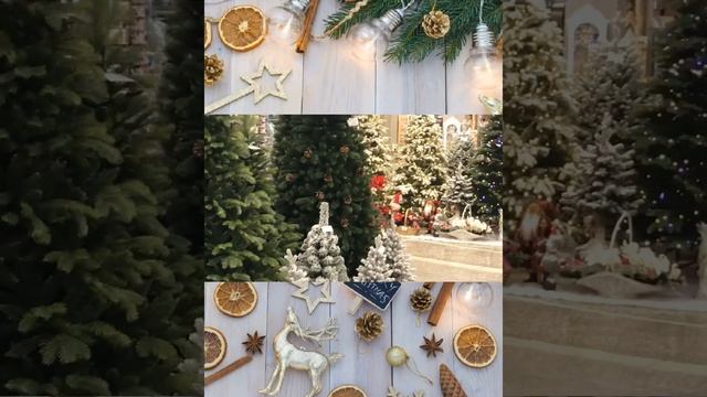 Магазин мебели. Товары из Германии. Сочи. Бесплатная доставка. Промокод для скидки 10% - tig2019.