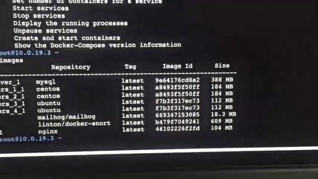 Efficiency of Honeypots in a Virtual Network using Docker Containers смотреть онлайн