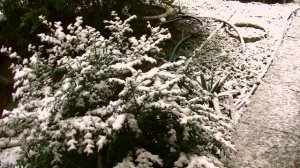 ФУТАЖ ВИДЕО ДЛЯ ВИДЕОМОНТАЖА СНЕГ ИДЁТ  ЗИМА ❄❄❄