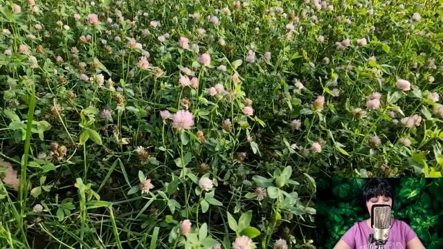 Перед свадьбой жених установил скрытую видеокамеру в спальню невесты. И когда она нашла камеру... смотреть онлайн