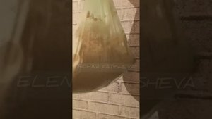 Дрожжевое тесто холодным способом. Рецепт без яиц