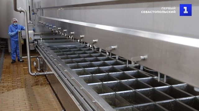 В Татарстане запустят производство полутвёрдых сыров