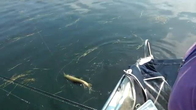 Астрахань 2 смотреть онлайн