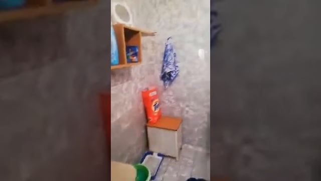 Продажа 1-к квартиры, ул. Сиреневая,1|Купить квартиру в Барнауле| Квартиры в Барнауле смотреть онлайн