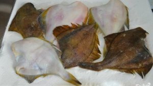 Сушеная камбала