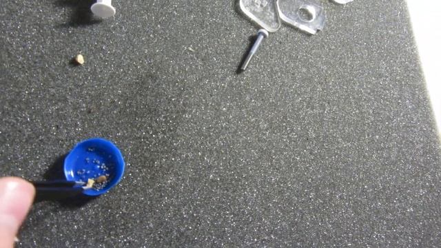 муравьи #50 Матка с крыльями!!! смотреть онлайн