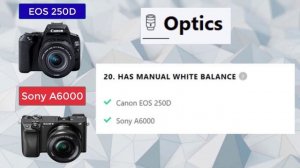 Canon EOS 250D VS Sony A6000