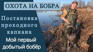 Охота на бобра проходными капканами. Первый добытый бобр