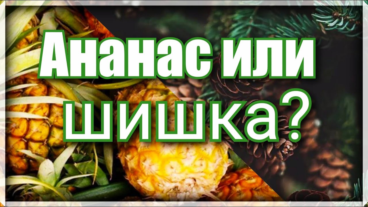 Пэчворк.Блок ананас или шишка.Простой способ пошива без расчетов. Способ № 1. Видео МК для новичков.