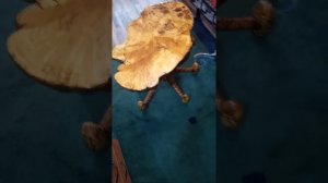 столик из сувеля берёзы