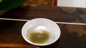 Обработка одной орхидеи фундазолом и второй мини фаленопсиса - фитоспорином